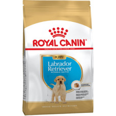 Сухий корм Royal Canin (Роял Канін) Labrador Retriever Puppy для цуценят породи лабрадор-ретривер