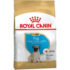 Сухий корм Royal Canin (Роял Канін) Pug Puppy для цуценят породи мопс
