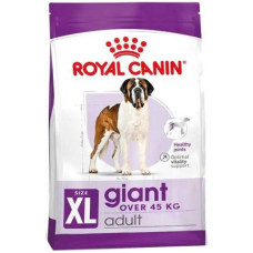 Сухий корм Royal Canin (Роял Канін) Giant Adult для собак гігантських порід