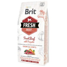 Сухий корм Brit (Бріт) Fresh Beef with Pumpkin Puppy Large для цуценят великих порід з яловичиною та гарбузом
