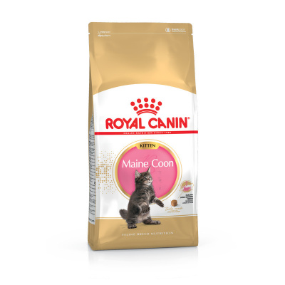 Сухий корм Royal Canin (Роял Канін) Maine Coon Kitten для кошенят породи Мейн-Кун 