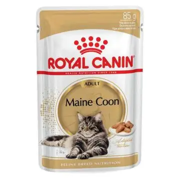 картинка Royal Canin (Роял Канін) Maine Coon Adult - Консервований корм для дорослих котів породи Мейн-Кун (шматочки в соусі)